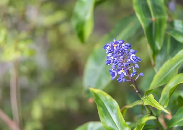 Casa Da Levada Βίλα Φουνκάλ