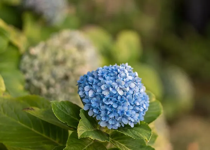 Casa Da Levada Βίλα *